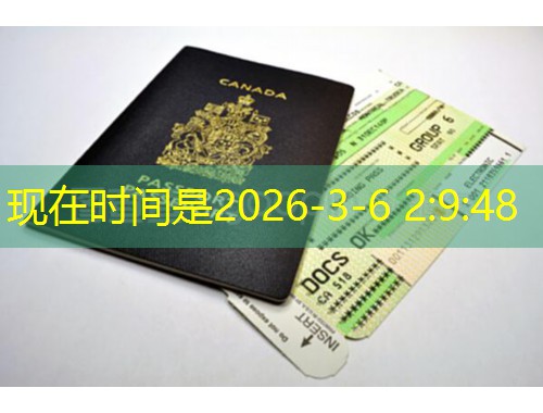 进入汉德欧移民官网